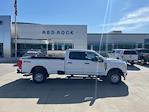 2025 Ford F-250 Crew Cab 4x4 Pickup for sale #63490 - photo 3