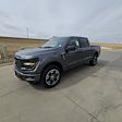 2025 Ford F-150 SuperCrew Cab 4x4 Pickup for sale #63511 - photo 7