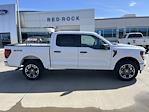 2025 Ford F-150 SuperCrew Cab 4x4 Pickup for sale #63512 - photo 3