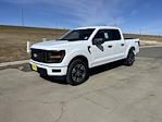 2025 Ford F-150 SuperCrew Cab 4x4 Pickup for sale #63512 - photo 8