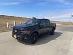 2025 Ford F-150 SuperCrew Cab 4x4 Pickup for sale #63554 - photo 7