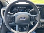 2025 Ford F-350 Crew Cab SRW 4x4 Pickup for sale #63559 - photo 13