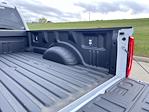New 2025 Ford F-250 XLT Crew Cab 4x4 Pickup for sale #63560 - photo 25