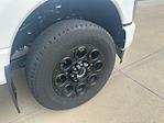 New 2025 Ford F-250 Lariat Crew Cab 4x4 Pickup for sale #63640 - photo 10