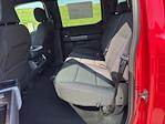 New 2025 Ford F-150 XLT SuperCrew Cab 4x4 Pickup for sale #63648 - photo 11