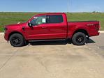 New 2025 Ford F-150 XLT SuperCrew Cab 4x4 Pickup for sale #63648 - photo 6