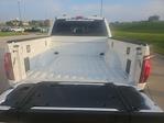 New 2025 Ford F-150 Platinum SuperCrew Cab 4x4 Pickup for sale #63706 - photo 5