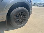 New 2025 Ford F-150 Platinum SuperCrew Cab 4x4 Pickup for sale #63709 - photo 26