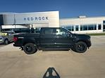 New 2025 Ford F-150 XLT SuperCrew Cab 4x4 Pickup for sale #63715 - photo 3