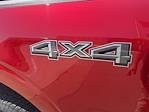 New 2025 Ford F-150 XLT SuperCrew Cab 4x4 Pickup for sale #63769 - photo 17
