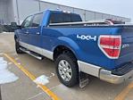 2013 Ford F-150 SuperCrew Cab 4WD Pickup for sale #63787A - photo 2