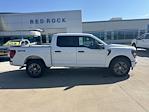 2025 Ford F-150 SuperCrew Cab 4WD Pickup for sale #63807 - photo 3