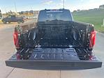 2025 Ford F-150 SuperCrew Cab 4WD Pickup for sale #63819 - photo 18