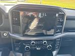 New 2025 Ford F-150 XLT SuperCrew Cab 4WD Pickup for sale #63820 - photo 14
