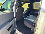 New 2025 Ford F-150 XLT SuperCrew Cab 4WD Pickup for sale #66841 - photo 10
