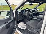 New 2025 Ford F-150 STX SuperCrew Cab 4WD Pickup for sale #66846 - photo 9