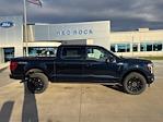 New 2025 Ford F-150 Platinum SuperCrew Cab for sale #66856 - photo 3