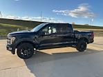 New 2025 Ford F-150 Platinum SuperCrew Cab for sale #66856 - photo 7