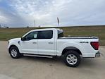 New 2025 Ford F-150 XLT SuperCrew Cab for sale #66880 - photo 5