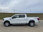 New 2025 Ford F-150 XLT SuperCrew Cab for sale #66880 - photo 6