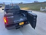 New 2025 Ford F-150 Platinum SuperCrew Cab for sale #66893 - photo 13