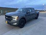 New 2025 Ford F-150 Platinum SuperCrew Cab for sale #66893 - photo 7