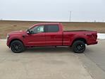 New 2025 Ford F-150 Platinum SuperCrew Cab for sale #66921 - photo 8