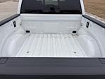 New 2025 Ford F-150 Platinum SuperCrew Cab for sale #66922 - photo 5