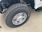 New 2026 Ford F-250 XL Crew Cab for sale #66948 - photo 9