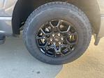 New 2026 Ford F-150 XLT SuperCrew Cab for sale #66977 - photo 22