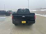 New 2025 Ford F-150 Platinum SuperCrew Cab for sale #66979 - photo 4