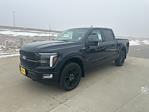 New 2025 Ford F-150 Platinum SuperCrew Cab for sale #66979 - photo 7