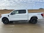 New 2026 Ford F-150 XLT SuperCrew Cab for sale #66982 - photo 7