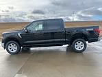 New 2026 Ford F-150 XLT SuperCrew Cab for sale #67001 - photo 7