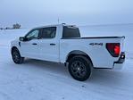 New 2026 Ford F-150 STX SuperCrew Cab for sale #67007 - photo 5