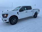 New 2026 Ford F-150 STX SuperCrew Cab for sale #67007 - photo 8