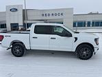 New 2026 Ford F-150 STX SuperCrew Cab for sale #67013 - photo 3