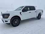 New 2026 Ford F-150 STX SuperCrew Cab for sale #67013 - photo 8