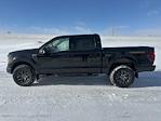 New 2025 Ford F-150 Tremor SuperCrew Cab for sale #67029 - photo 7