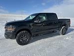 New 2025 Ford F-150 Tremor SuperCrew Cab for sale #67029 - photo 8