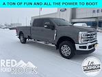 2023 Ford F-350 Crew Cab SRW 4WD Pickup for sale #67046A - photo 1