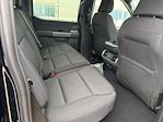 New 2026 Ford F-150 XLT SuperCrew Cab for sale #67053 - photo 11