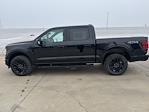 New 2026 Ford F-150 XLT SuperCrew Cab for sale #67053 - photo 7