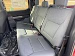 New 2026 Ford F-150 XLT SuperCrew Cab for sale #67077 - photo 12