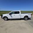2019 Ford F-150 SuperCrew Cab 4x4 Pickup for sale #Z1470A - photo 7
