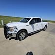 2019 Ford F-150 SuperCrew Cab 4x4 Pickup for sale #Z1470A - photo 8