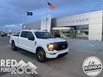 2023 Ford F-150 SuperCrew Cab 4x4 Pickup for sale #Z1494 - photo 1