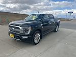2022 Ford F-150 SuperCrew Cab 4x4 Pickup for sale #Z1566 - photo 7