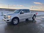 Used 2019 Ford F-150 Platinum SuperCrew Cab for sale #Z1651A - photo 10