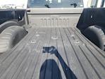 2023 Ford F-350 Crew Cab SRW 4x4 Pickup for sale #58683B - photo 20